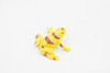 Frog, Yellow Poison Dart Frog, Plastic Toy, Realistic, Figure, Model, Replica, Kids, Educational, Gift,    1 1/2"   CWG19 B47