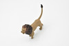 Lion, Very Nice Plastic Replica 3 - inch   F4447 B55