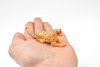 Cheetah, Laying Down Realistic Toy Model Plastic Replica Animal Kids Educational Gift  3.5" F4453 B55