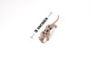 Ocelot, Plastic Replica 3"L  ~  F4449 B55