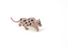 Ocelot, Plastic Replica 3"L  ~  F4449 B55