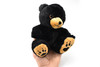 Black Bear, Sitting, Sweet Feet, Very Nice Plush Animal   7"  CWG65 BB17