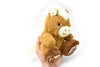 Horse, Sitting, Sweet Feet, Realistic Cute Stuffed Animal Plush Toy, Kids Educational Gift   7"   CWG66 BB17