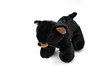 Black Bear, Standing, Realistic Cute Stuffed Animal Plush Toy, Kids Educational Gift  12"  CWG70 BB19