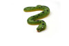 Green Anaconda, Snake, Rubber Reptile, Educational, Realistic, Hand Painted, Figure, Lifelike Model, Figurine, Replica, Toys, Gift,     10 Inches.    CWG45 B181