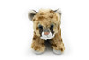Cougar Cub, Very Nice Plush Animal  8"  ~ F4503-B419