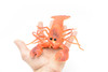Lobster, Squeaks and Squirts Water, Rubber Crustaceans, Educational, Figure, Lifelike, Model, Replica, Gift,    12"   With Antenna    F1461 B212