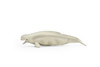 Beluga Whale, Movable Parts Beautiful Plastic Replica  4.5" Long - F091 B383 