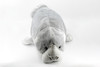 Manatee, Sea Cow, Dugong, Large Realistic Cute Stuffed Animal Plush Toy Kids Educational Gift    24" FT01 B405