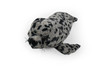 Seal, Harbor Seal, Realistic Stuffed Soft Toy Educational Kids Gift, Plush Animal   25"     F4354 B436