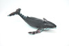 Humpback Whale, Hand Painted, High Quality, Soft Rubber Whale, Realistic, Toy Figure, Model, Replica, Kids, Educational, Gift,    9"   F098 B495