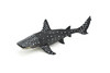 Whale Shark, Realistic Toy Model Rubber Replica Ocean Figure   9"    F096 B494