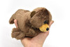 Sea Lion Baby, Realistic Stuffed Soft Toy Educational Kids Gift Very Nice Plush Animal    9"     PZ022 B458