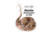 Rattlesnake Diamondback, Large Cute Stuffed Animal Plush Toy Kids Educational Gift     73"      CWG80 BB2