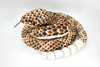 Rattlesnake Diamondback, Large Cute Stuffed Animal Plush Toy Kids Educational Gift     73"      CWG80 BB2