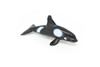 Orca, Killer Whale,  Very Nice Plastic Replica   2 3/4"  -  F601 B35