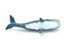 Sperm Whale Plastic Replica ~ F3909-B9