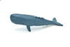 Sperm Whale Plastic Replica ~ F3909-B9