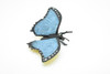 Butterfly, Blue Morpho, Very Nice Rubber Replica    8"   CWG86 B153