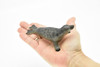 Seal, Grey, Realistic Toy Model Plastic Replica, Kids Educational Gift   4.5" M041 B638