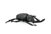 Beetle Rhinoceros, Black, Very Nice Rubber Replica  5 1/2"    CWG82 B153