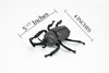 Beetle Rhinoceros, Black, Very Nice Rubber Replica  5 1/2"    CWG82 B153