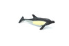 Dolphin White Sided, Very Nice Plastic Replica    3"Long   ~   F3901-B9