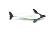 Dolphin White Sided, Very Nice Plastic Replica    3"Long   ~   F3901-B9