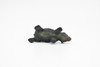 Wombat, Marsupials, Very Nice Plastic Animal Figure, Model, Figure, Figurine, Educational, Animal, Kids, Gift, Toy,   2 "    CWG106 B237