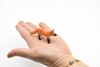 Red Fox, Canidae, Vulpes vulpes, Hand Painted, Realistic, Very Nice Plastic Design, Caninds, Animal,  Educational, Diorama Model, Lifelike, Toy,  2 1/2 Inches. 