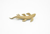 Xenacanthus Extinct Shark Toy Plastic Replica 4"  Long F3159-B627