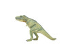 Tyrannosaurus rex, T. Rex, Dinosaur, Museum Quality Plastic Replica  9"L x 4.5"T  M014-B631