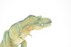 Tyrannosaurus rex, T. Rex, Dinosaur, Museum Quality Plastic Replica  9"L x 4.5"T  M014-B631