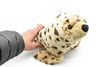 Seal, Harbor Realistic Stuffed Soft Toy Educational Kids Gift, Plush Animal 16"  F076 BB15