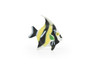 Moorish Idol, Zanclus cornutus, Tropical Fish, Hand Painted, Realistic, Solid Rubber, Saltwater Fish, Educational Model, Lifelike, Diorama Model, Toy,  2 Inches