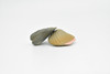 Clams, Pair of Two, Realistic Plastic Littleneck Clams Model, Toy, Figure     1"     CWG140 BB28