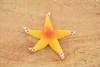 Starfish, Orange, Realistic Plastic Star Fish Model, Toy, Kids Educational Gift, Animal, Figure     1"     CWG142 BB28