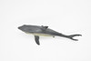 Shark, Great White, Museum Quality Rubber Model, Toy, Figure    6"      CWG143 BB28