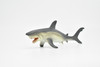 Shark, Great White, Museum Quality Rubber Model, Toy, Figure    6"      CWG143 BB28