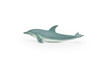 Dolphin, Porpoise, Realistic Rubber Model, Toy, Kids Educational Gift, Animal, Figure   4"      CWG144 BB28