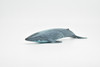 Blue Whale, Balaenoptera musculus, Museum Quality, Realistic Plastic Animal Design, Hand Painted, Educational, Lifelike, Diorama Model, Toy, Kids, Gift,  7 Inches.      CWG145 BB28