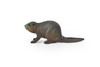 Beaver, Museum Quality Rubber Castor Model, Toy, Kids Educational Gift, Animal, Figure   3"      CWG148 BB28