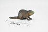 Beaver, Museum Quality Rubber Castor Model, Toy, Kids Educational Gift, Animal, Figure   3"      CWG148 BB28