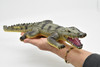 Alligator, Crocodile , Reptile, Realistic Soft Rubber Model, Toy, Kids Educational Gift, Animal, Figure        14" 
