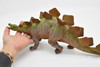 Stegosaurus, Dinosaur, Figure, Model, Figurine, Educational, Animal, Kids, Gift Toy Plastic Replica,      16"        CWG154 BB30   