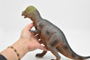 Stegoceras, Dinosaur, Figure, Model, Figurine, Educational, Animal, Kids, Gift Toy Plastic Replica,      14"        CWG156 BB32   