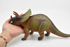 Triceratops, Dinosaur, Figure, Model, Figurine, Educational, Animal, Kids, Gift Toy Plastic Replica,      14"        CWG157 BB33   