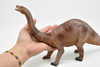 Apatosaurus, Dinosaur, Jurassic period, Museum Quality, Realistic, Educational, Hand Painted, Lifelike Design, Diorama Model, Replica, Toy,  16 Inches 
