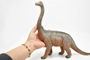 Brachiosaurus, Dinosaur, Figure, Model, Figurine, Educational, Animal, Kids, Gift Toy Plastic Replica,      14"        CWG161 BB37  