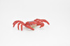 Crab, Red, Figure, Model, Figurine, Educational, Animal, Kids, Gift Toy Plastic Rock Crab Replica     2"     CWG164 BB28   